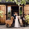 Weddings at The Tythe Barn