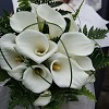 Love Wedding Flowers