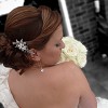 Nicki Humbles Bridal Beauty