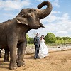 Weddings at Woburn Safari Park