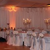 THE SPECIALIST EVENT COMPANY LTD