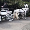 Catherines Carriages