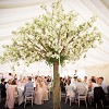 J&B Marquee Hire