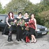 Grave Limo's